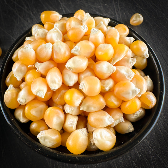 Popkorna kukurūzas graudi